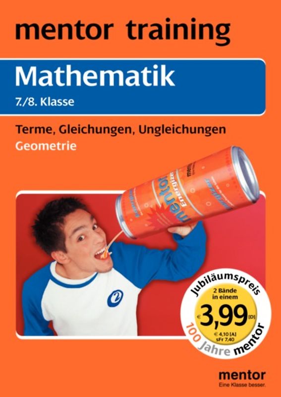 Mathematik 7. /8. Klasse: Geometrie /Terme, Gleichungen, Ungleichungen. Wendebuch