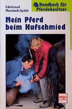 Mein Pferd beim Hufschmied
