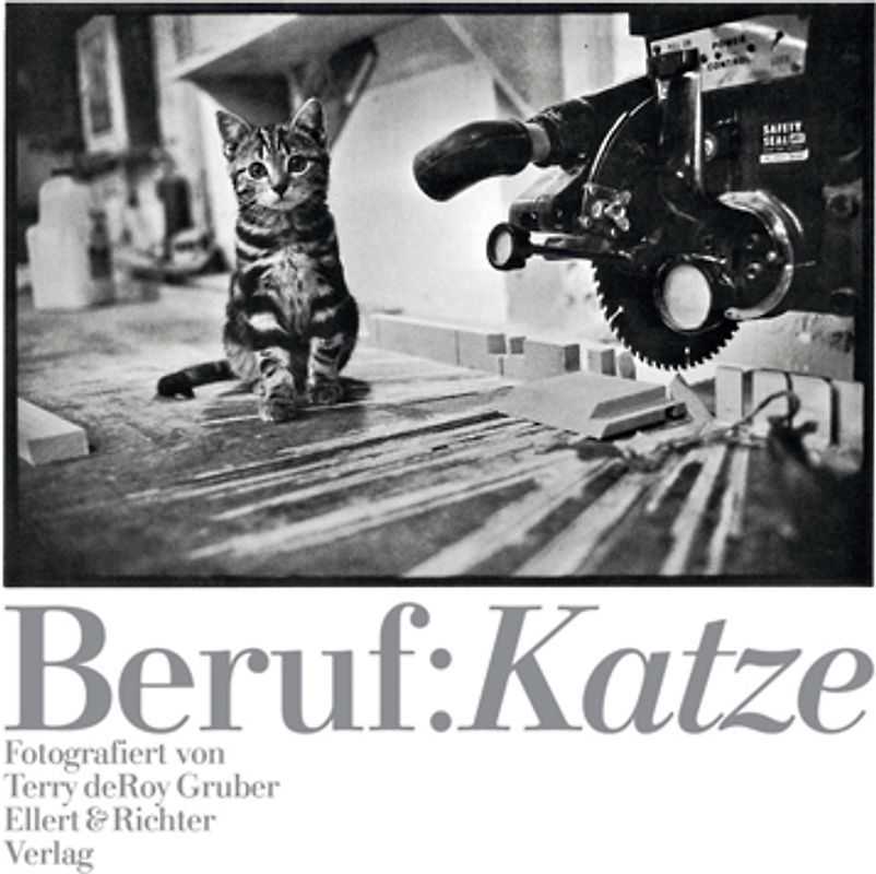 Beruf: Katze