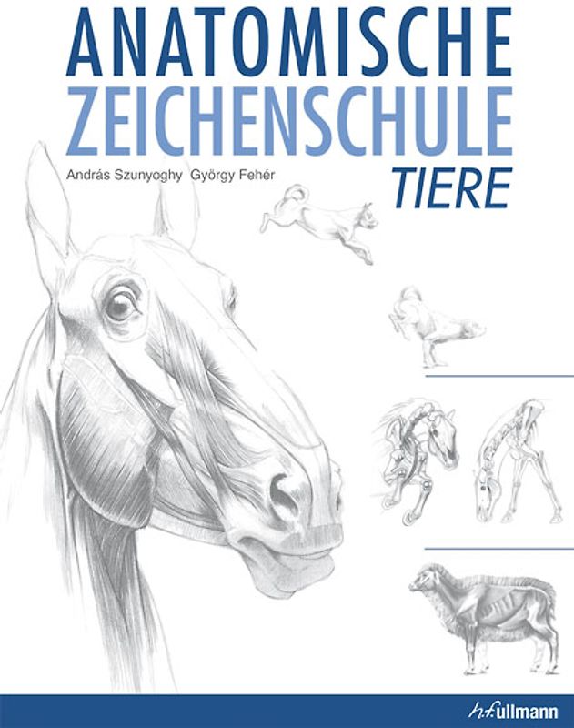 Anatomische Zeichenschule Tiere