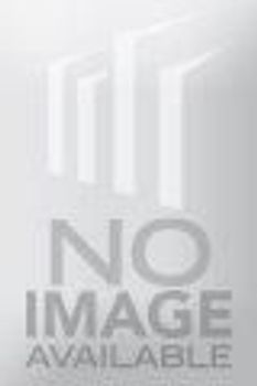 Japanese Nineteenth-Century Copperplate Prints