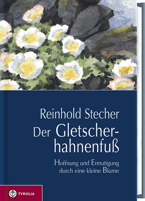 Der Gletscherhahnenfuss