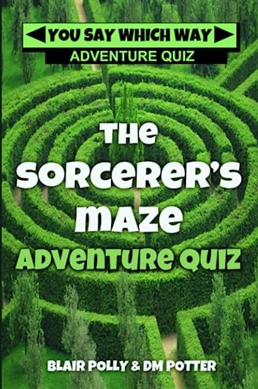 The Sorcerer's Maze (You Say Which Way Adventure Quiz, Band 1)