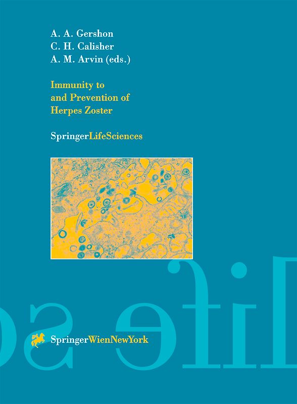 Immunity to and Prevention of Herpes Zoster