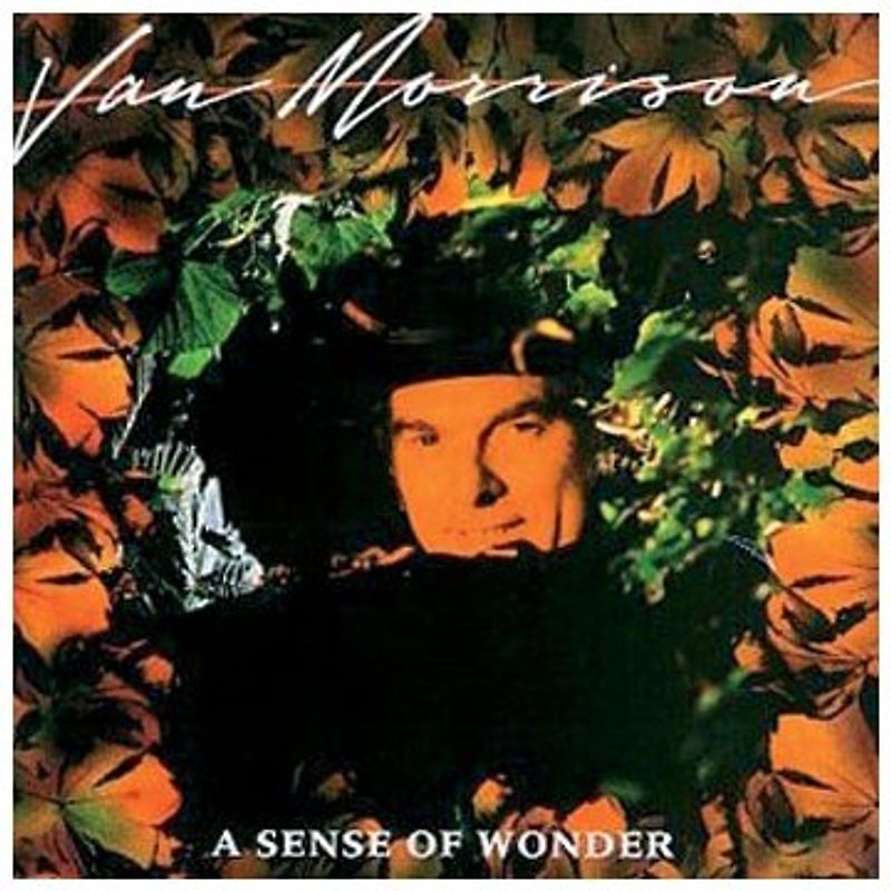 Van Morrison - A Sense of Wonder (Remastered)