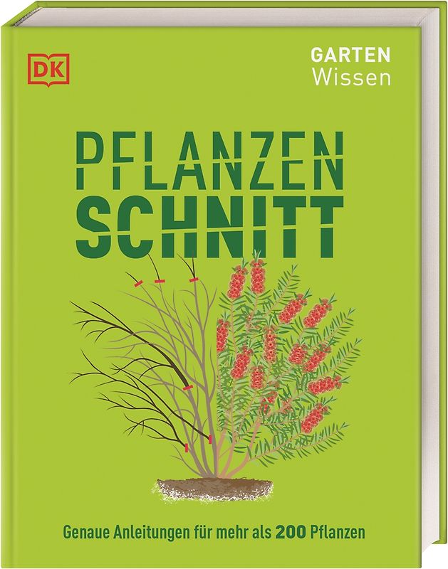 Gartenwissen Pflanzenschnitt