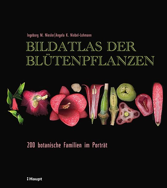 Bildatlas der Blütenpflanzen