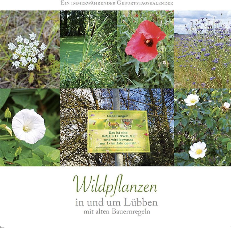 Wildpflanzen - In und um Lübben