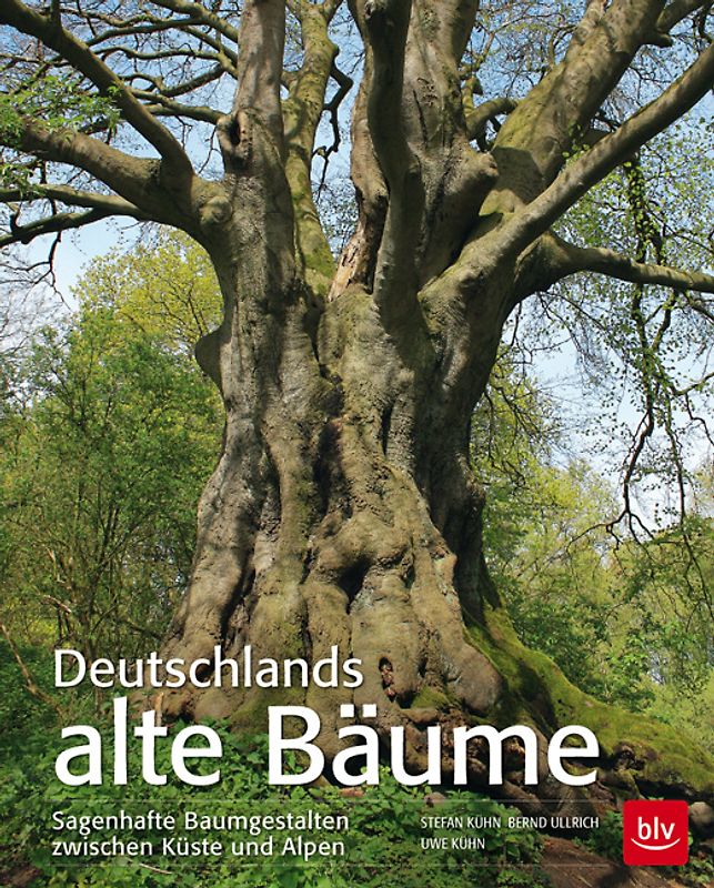 Deutschlands alte Bäume