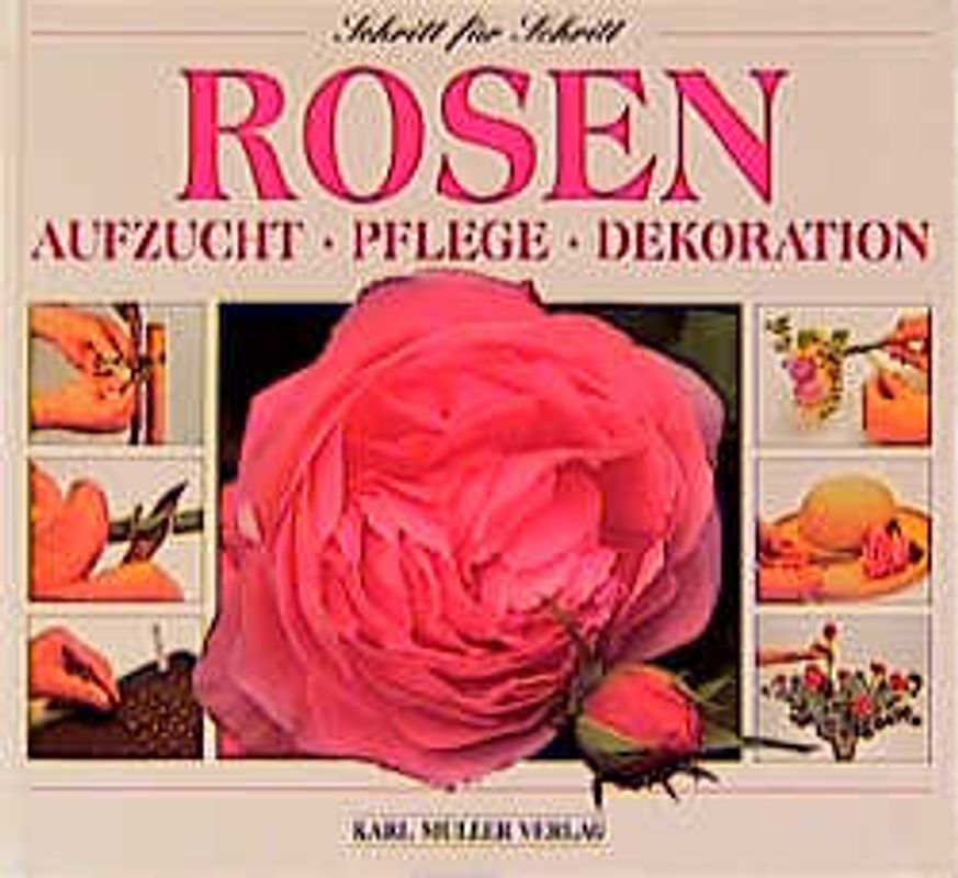 Rosen. Aufzucht - Pflege - Dekoration