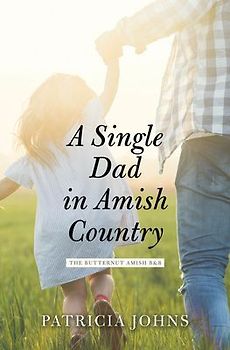 A Single Dad in Amish Country