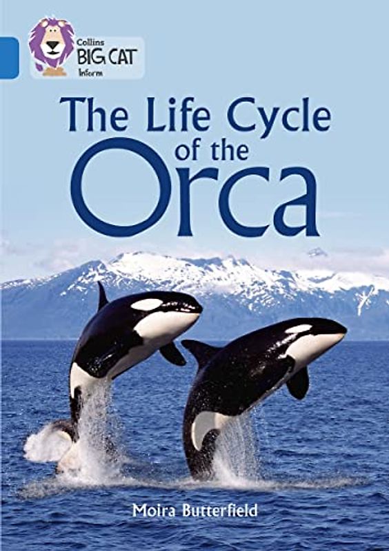 Collins Big Cat - The Life Cycle of the Orca