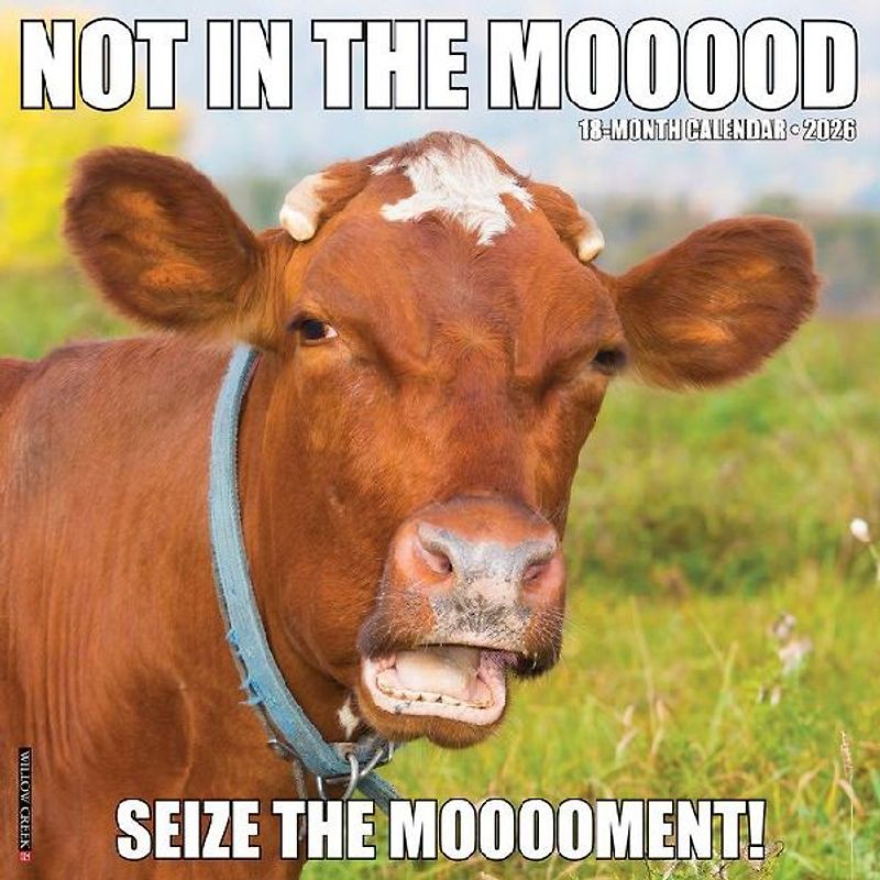 Not in the Mooood 2026 12 X 12 Wall Calendar
