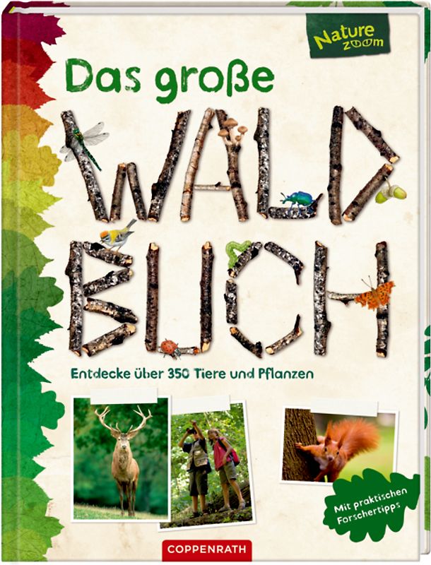 Das große Waldbuch