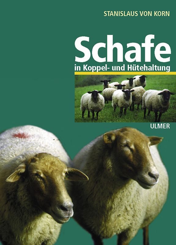 Schafe in Koppel- und Hütehaltung