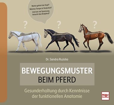 Bewegungsmuster beim Pferd