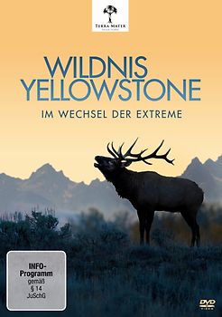 Wildnis Yellowstone - Im Wechsel der Extreme DVD