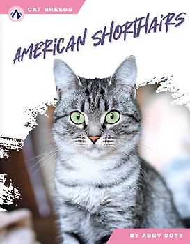 American Shorthairs