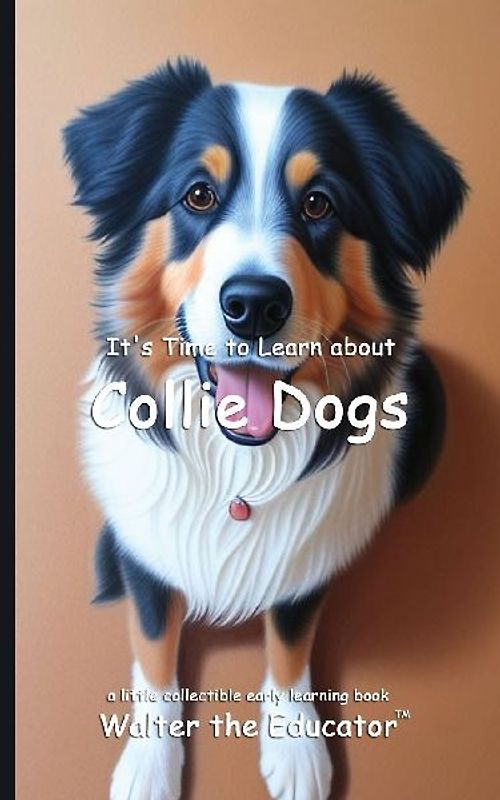 It's Time to Learn about Collie Dogs
