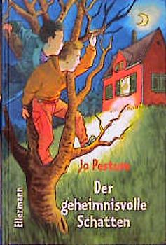 Der geheimnisvolle Schatten. Ab 10 Jahre