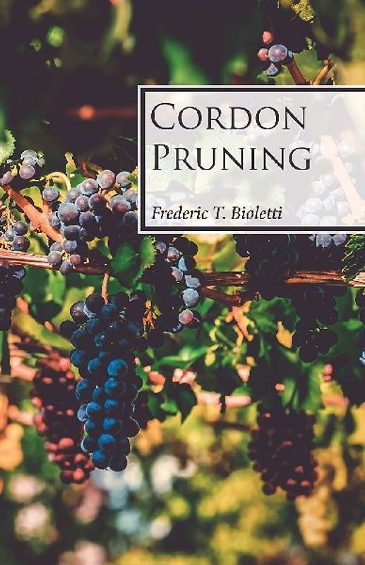 Cordon Pruning