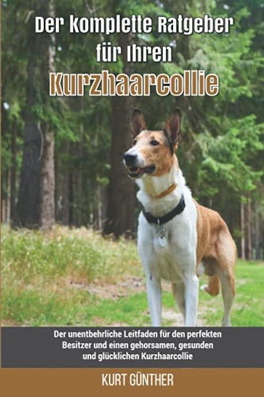 Der komplette Ratgeber für Ihren Kurzhaarcollie: Der unentbehrliche Leitfaden für den perfekten Besitzer und einen gehorsamen, gesunden und glücklichen Kurzhaarcollie