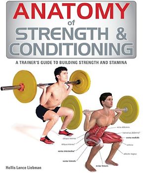 Anatomy of Strength & Conditioning