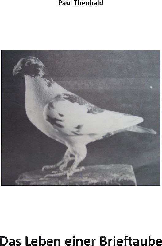 Das Leben einer Brieftaube