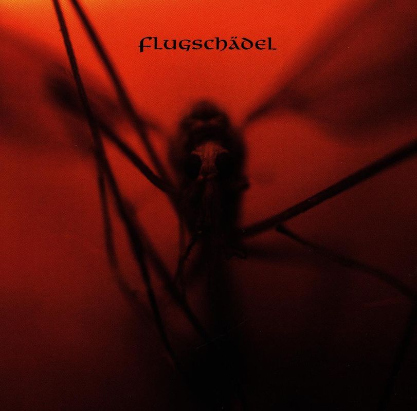 Flugschädel - Flugschädel
