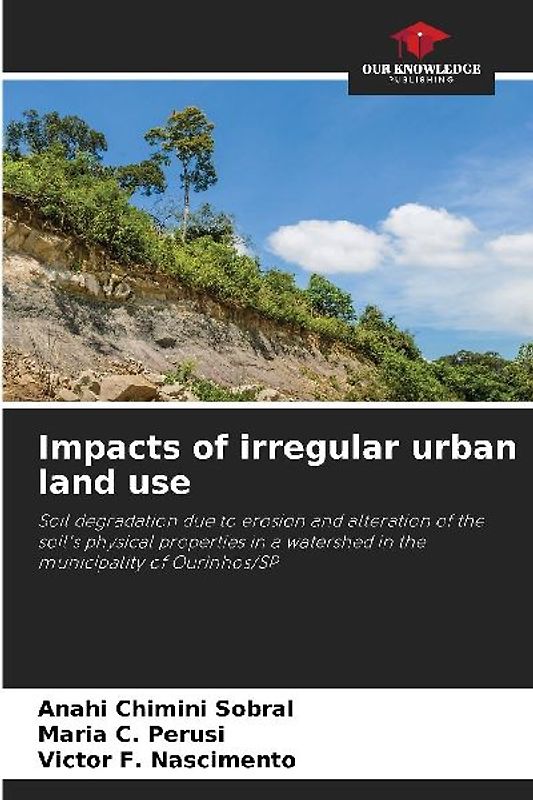 Impacts of irregular urban land use
