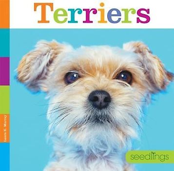 Terriers