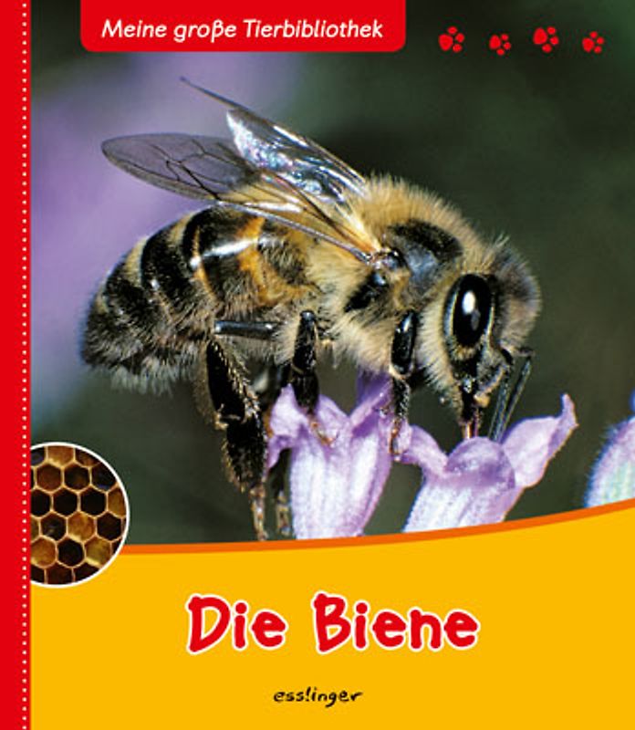 Meine große Tierbibliothek: Die Biene
