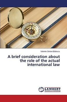 A brief consideration about the role of the actual international law