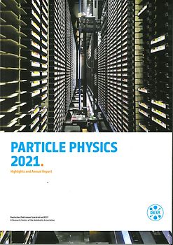 Particle Physics 2021