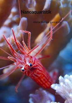 Nanoaquaristik