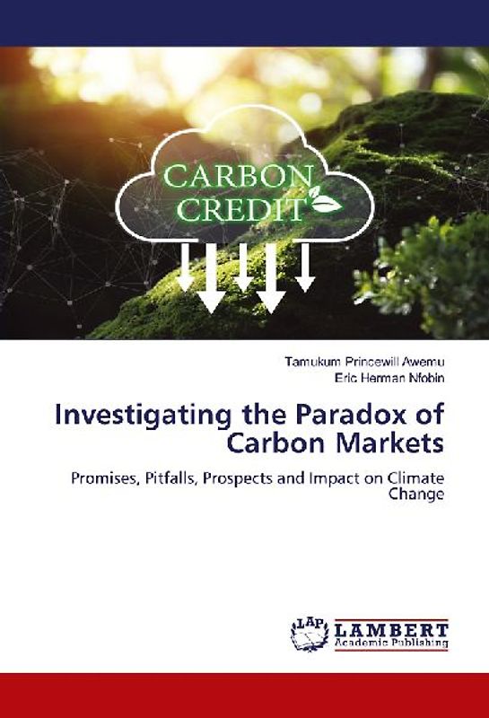 Investigating the Paradox of Carbon Markets