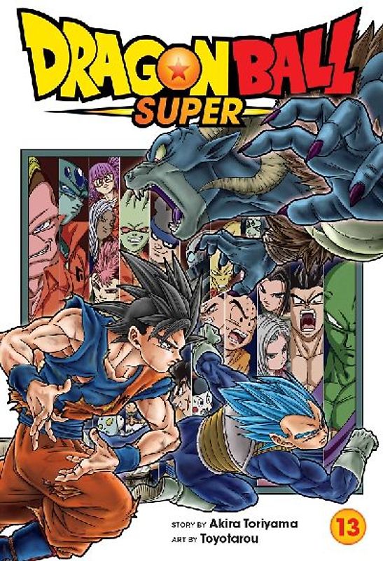 Dragon Ball Super, Vol. 13