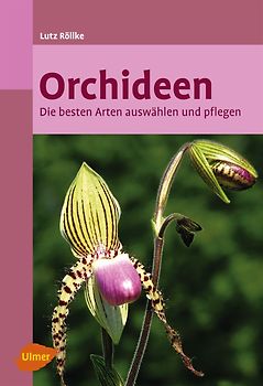 Orchideen