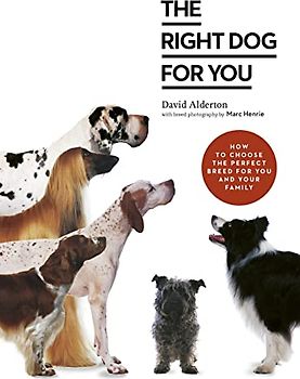 Your Dog Selector: The Complete Guide to Picking the Perfect Breed: How to choose the perfect breed for you and your family