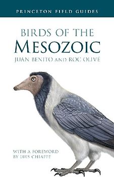 Birds of the Mesozoic