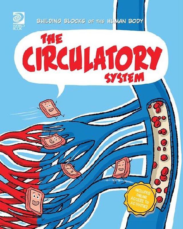 The Circulatory System