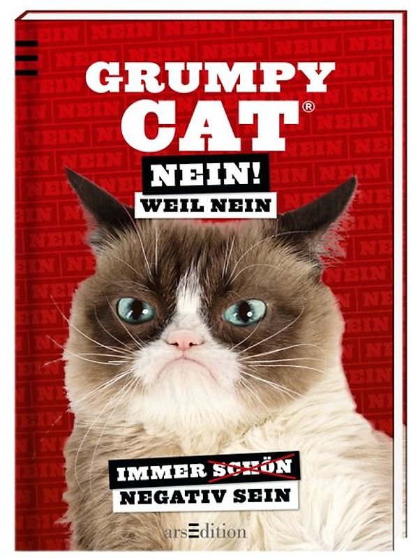 Grumpy Cat: Nein! Weil Nein