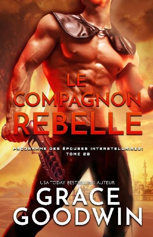 Le Compagnon Rebelle