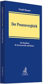 Der Prozessvergleich