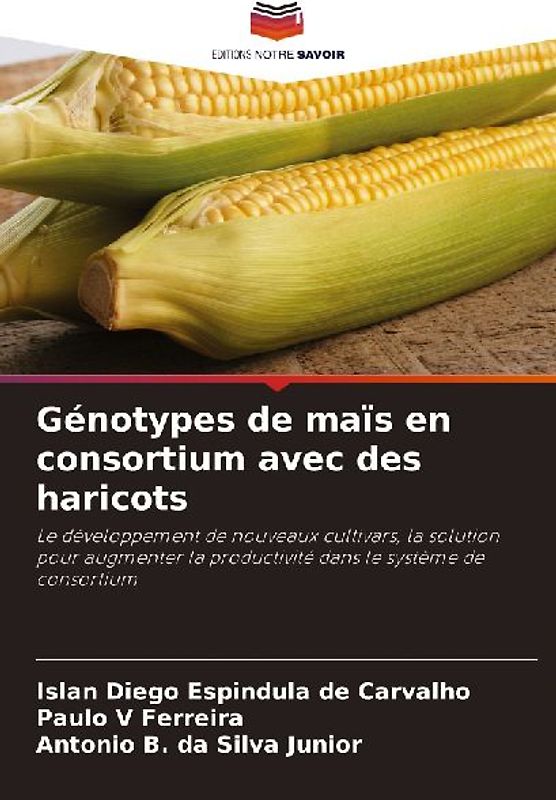 Génotypes de maïs en consortium avec des haricots