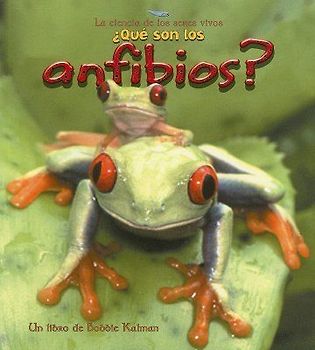 ¿Qué Son Los Anfibios? (What Is an Amphibian?)