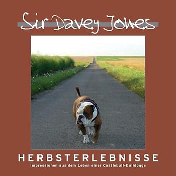 Sir Davey Jones - Herbsterlebnisse