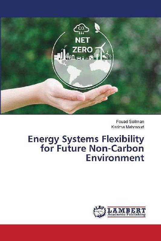 Energy Systems Flexibility for Future Non-Carbon Environment