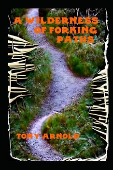 A Wilderness of Forking Paths (The Whisanant Mythos, Band 28)