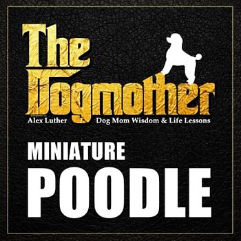 The Dogmother: Miniature Poodle: (Dog Mom Wisdom & Life Lessons)